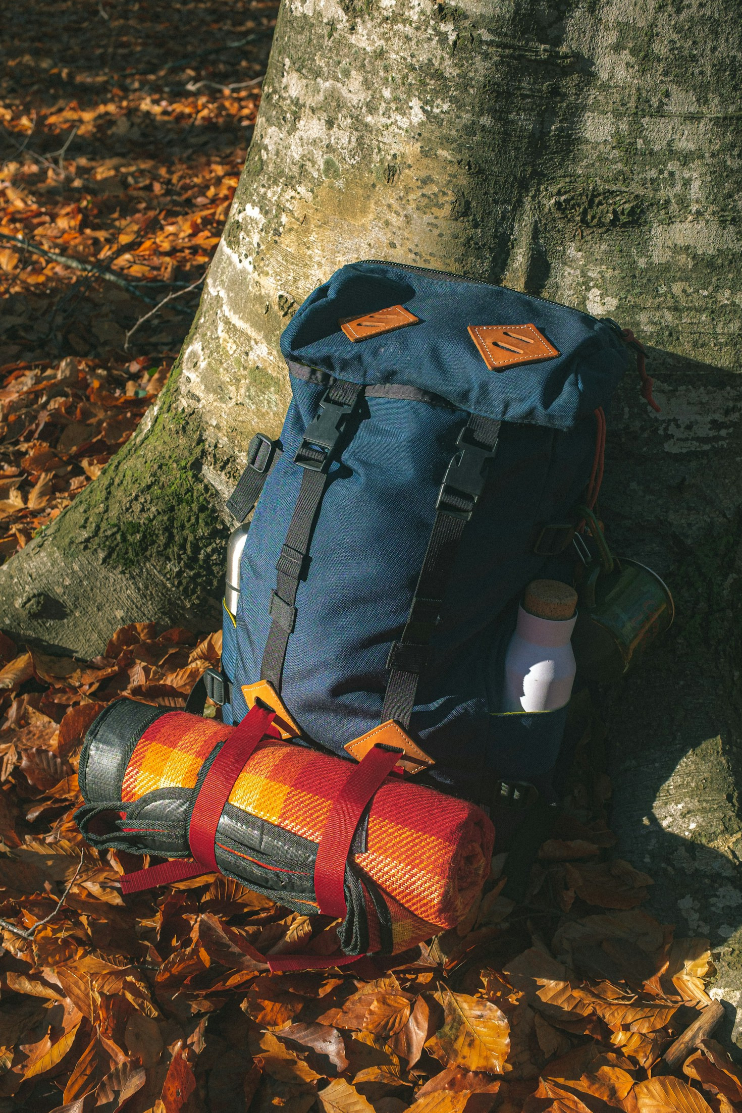 Bivouac ou gîte : quel choix pour vos randonnées ?